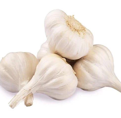 White Fresh Garlic Images