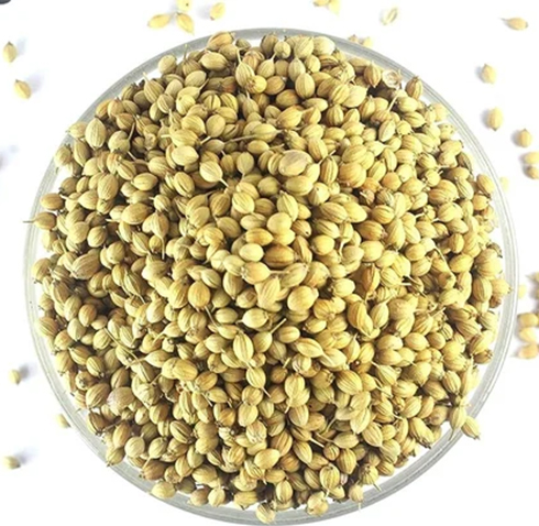 Organic Coriander Seed Images